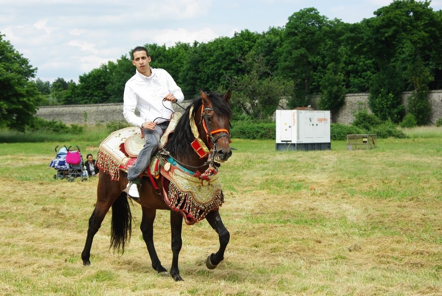 Le Moussem des Cultures 2008 093.jpg